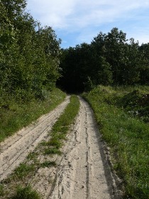 Az út