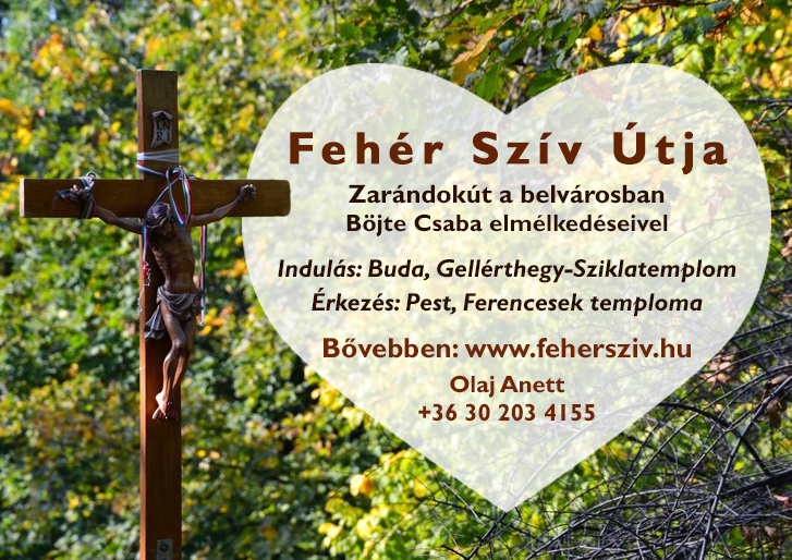 fsz