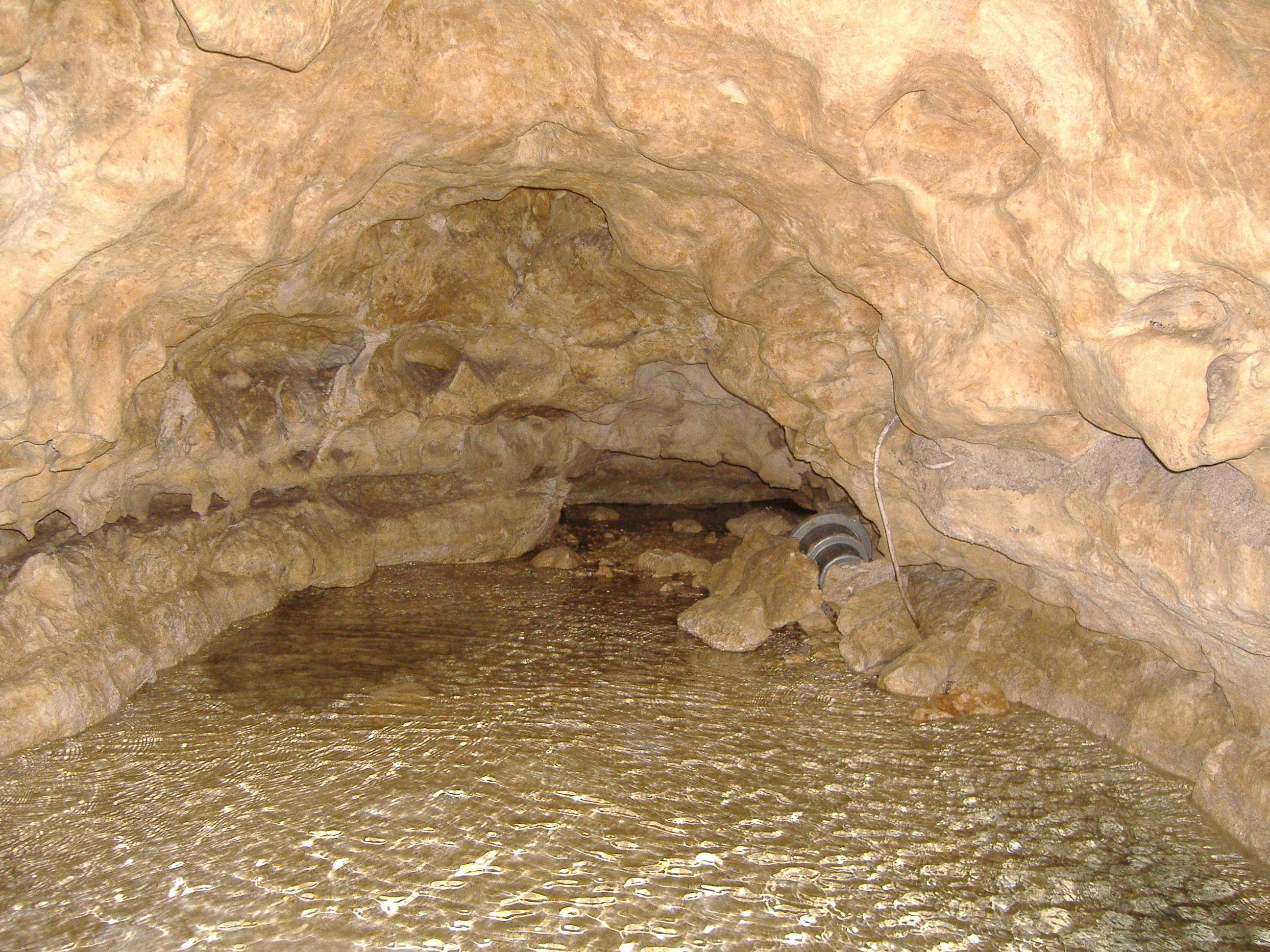 bg2