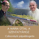 csempe pápalátogatás Csíksomlyó